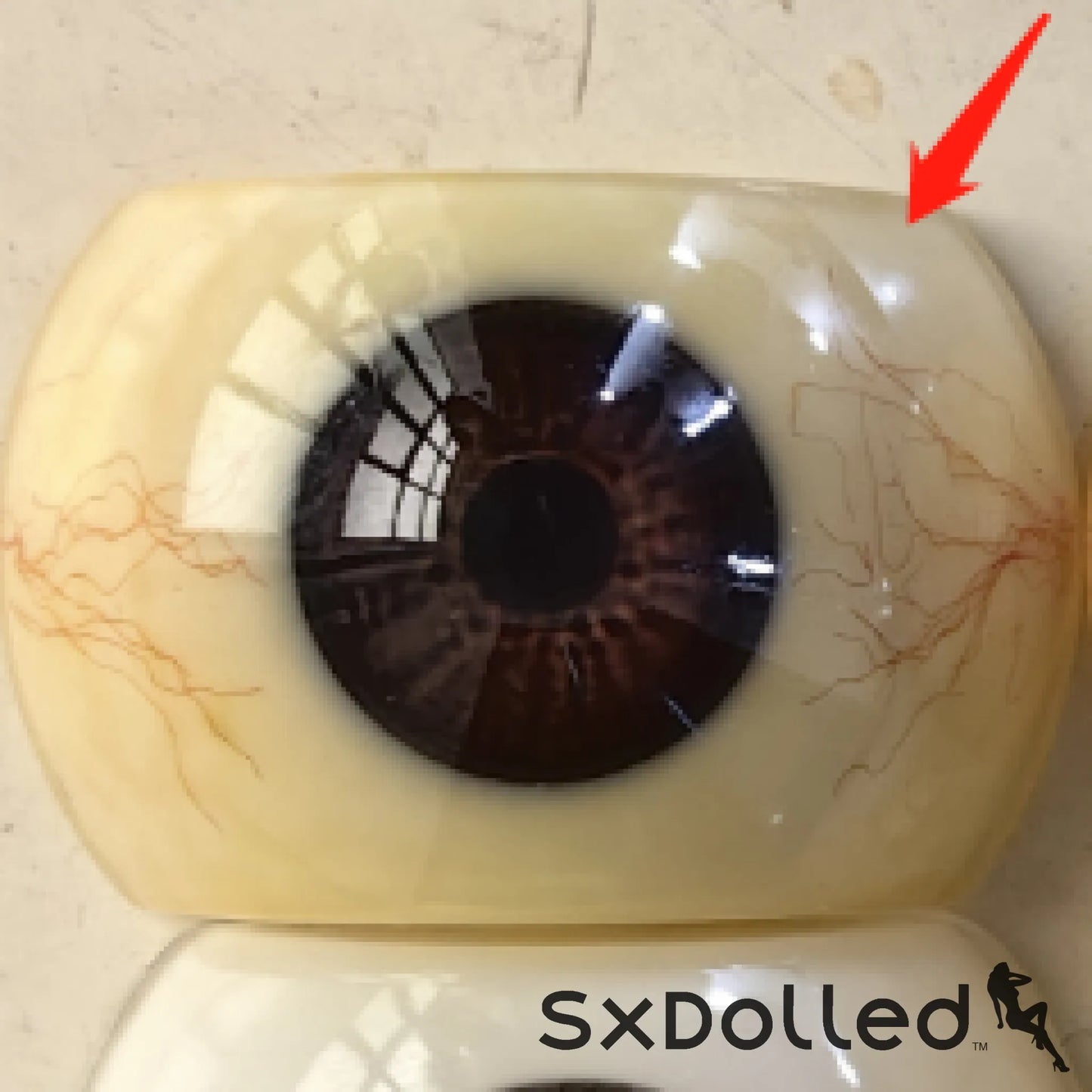Realistic Eyes (+$30 AUD) | Normon Doll | SxDolled.