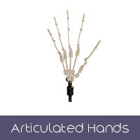 Articulated Hands (+$125 AUD)