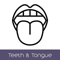 Teeth & Tongue Set (+$75 AUD)