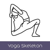 Yoga Skeleton (+$150 AUD)