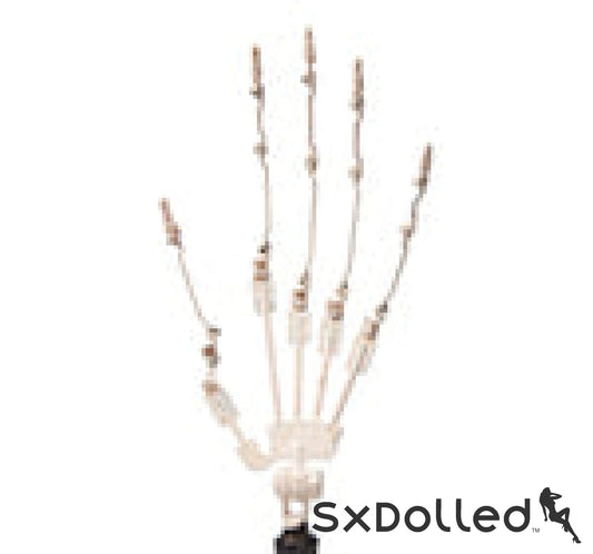 Articulated Fingers (+$80 AUD) | Rosretty Doll | SxDolled.
