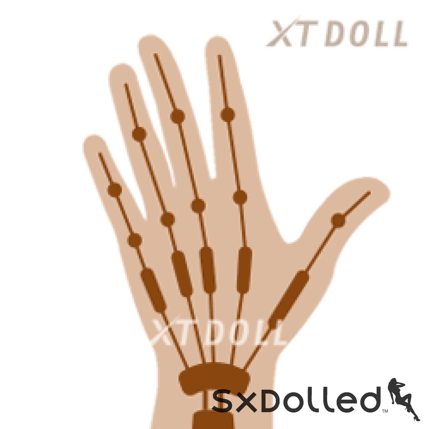Articulated Fingers (+$135 AUD) | XT Doll | SxDolled.