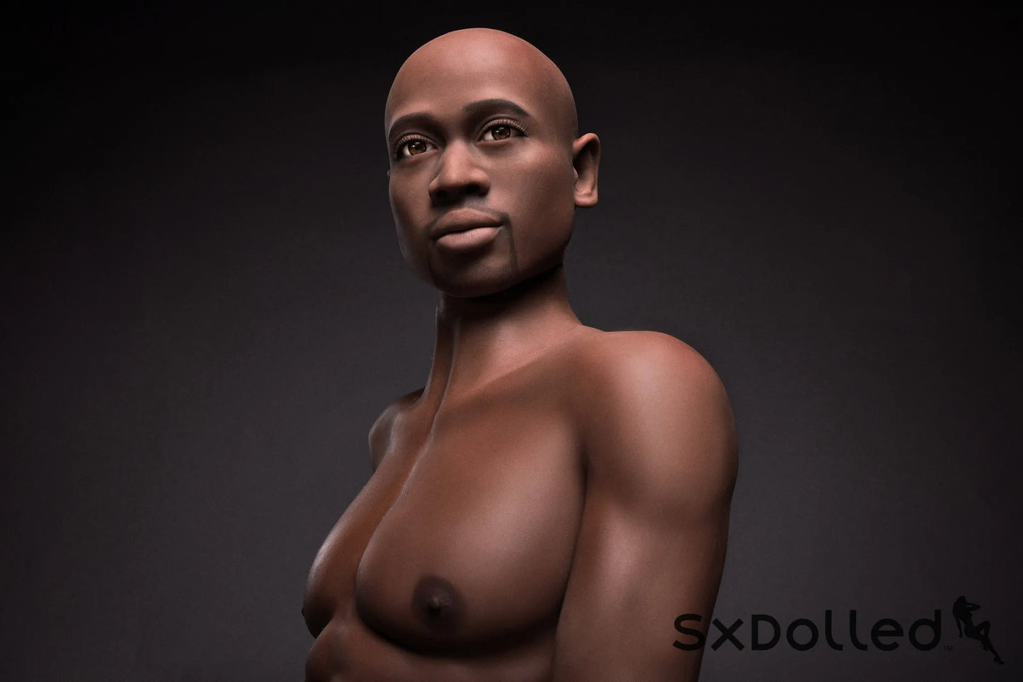 Brad (6-Inch) (175cm) | Male Sex Doll | Irontech Doll | SxDolled.