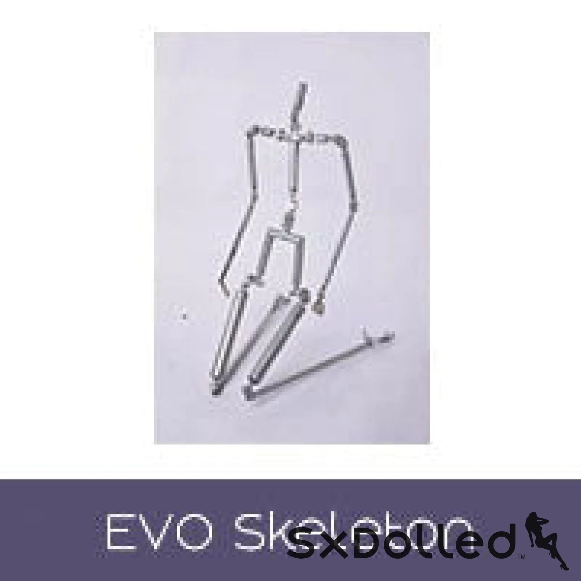 Evo Skeleton ( + $40 Aud)