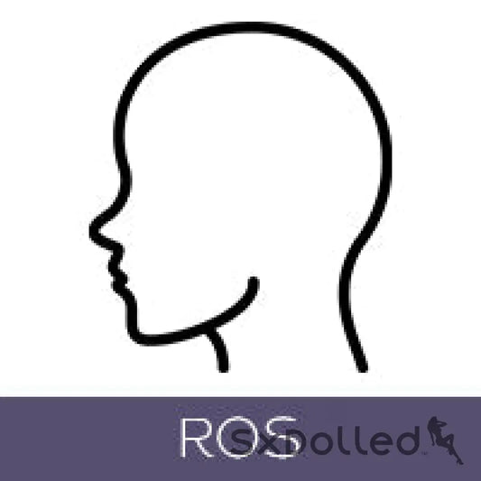 Head Style Change To ROS (+$160 AUD) | Jiusheng Doll | SxDolled.