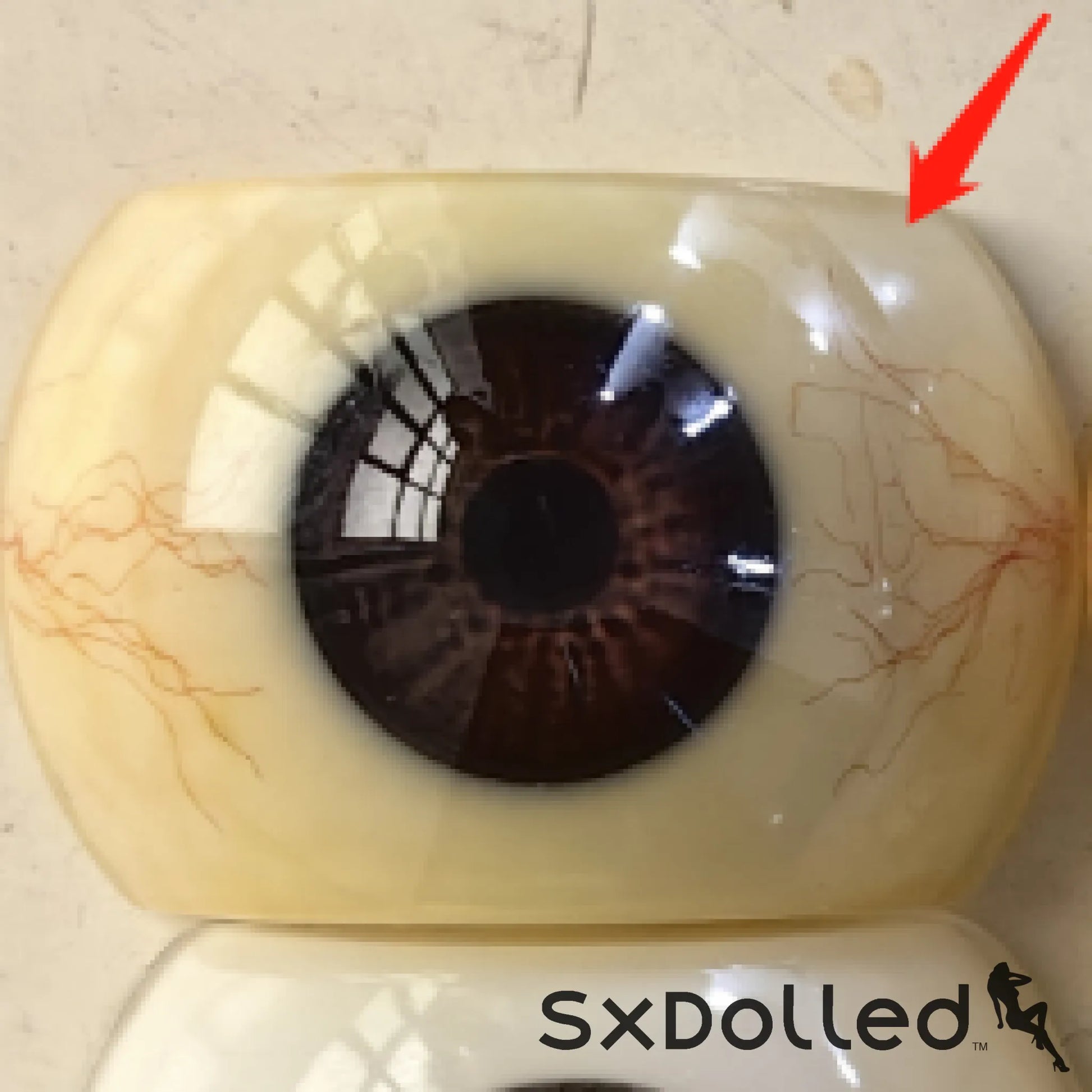Realistic Eyes (+$30 AUD) | Normon Doll | SxDolled.