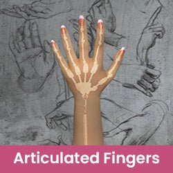 Articulated Fingers (+$120 USD) - SxDolled -